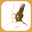 Artamonov Group