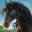 Horse World: My Riding Horses 4.6