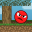 Ball Pixel Craft