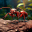 Ant Colony Simulator