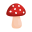 Shroomify - Mushroom ID USA 1.5