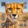 Wild Cheetah Simulator 3D