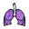 Lung Cancer Stage