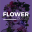 Flower Outlet 1.1