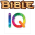 BibleIQ 4