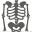 Musculoskeletal X- Rays