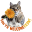 WASticker - Cat stickers 4.0