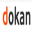 DokanLibrary 0.6