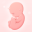 My Pregnancy゜ 1.6.5