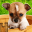 Dogs Jigsaw Puzzle Game Kids