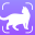 Cat Scanner : Breed Identifier