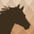 Equus Note - The Horse Journal 1.6.0