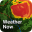 Weather Now Launcher - Radar