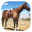 Horse Simulator 3D Game 2017