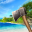 Woodcraft Survival Island Game