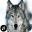 Wolf Sounds Ringtones 1.0