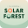 태양의 숲 | Solar Forest