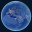 Night Earth