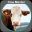 CowMaster- Herd Management App